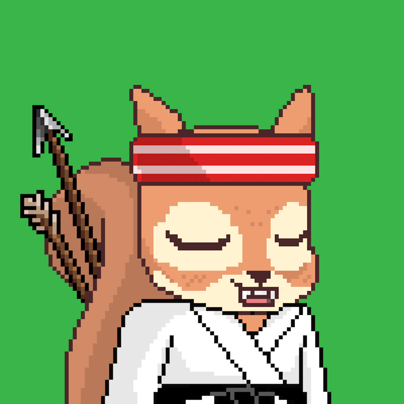 Pixel Squirrels #4555